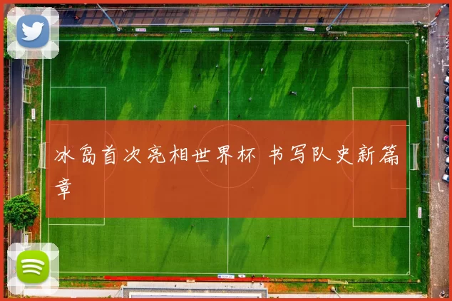 冰岛首次亮相世界杯 书写队史新篇章