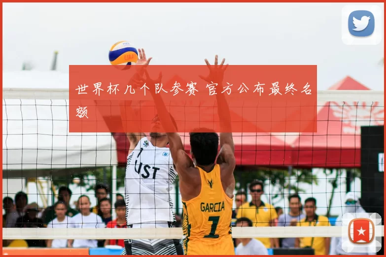 世界杯几个队参赛 官方公布最终名额