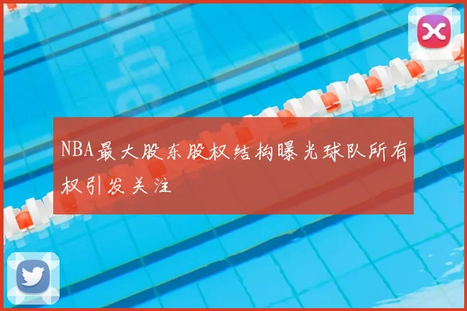 NBA最大股东股权结构曝光球队所有权引发关注