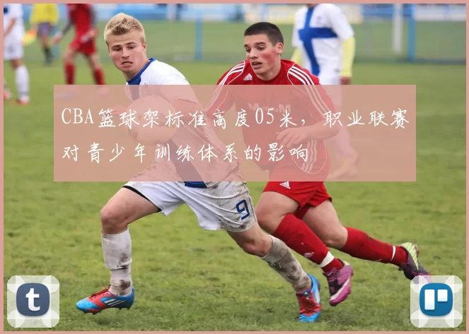 CBA篮球架标准高度05米，职业联赛对青少年训练体系的影响
