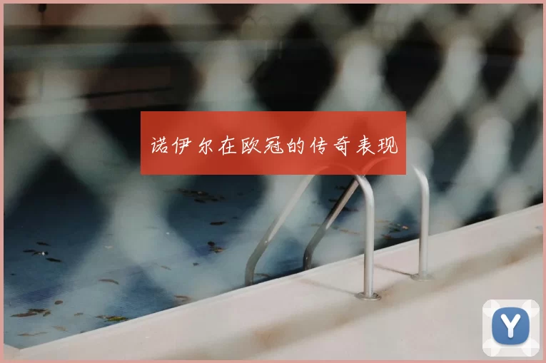 诺伊尔在欧冠的传奇表现