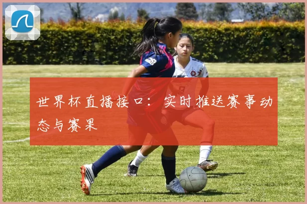 世界杯直播接口：实时推送赛事动态与赛果