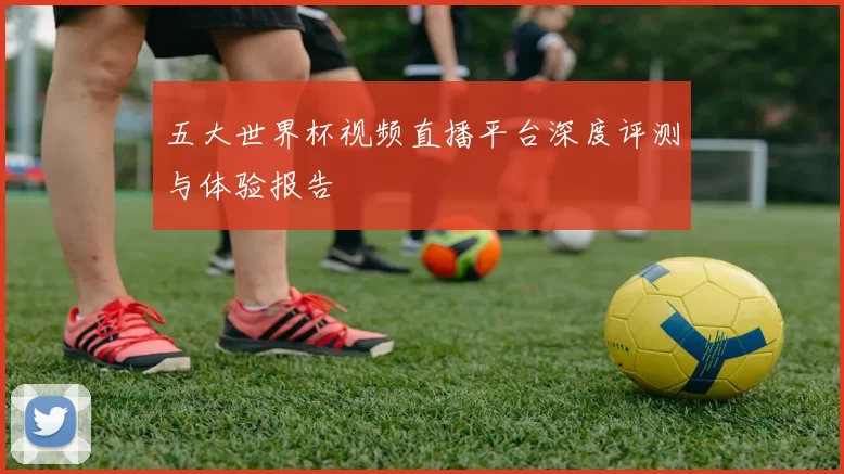 五大世界杯视频直播平台深度评测与体验报告