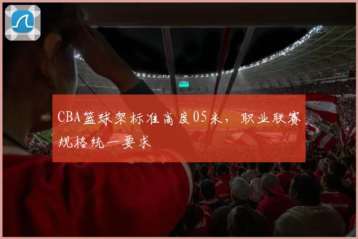 CBA篮球架标准高度05米,职业联赛规格统一要求