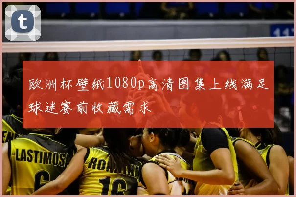 欧洲杯壁纸1080p高清图集上线满足球迷赛前收藏需求