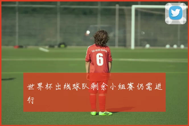 世界杯出线球队剩余小组赛仍需进行