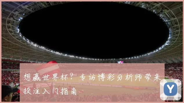 想赢世界杯?专访博彩分析师带来投注入门指南