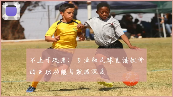 不止于观看:专业级足球直播软件的互动功能与数据深度