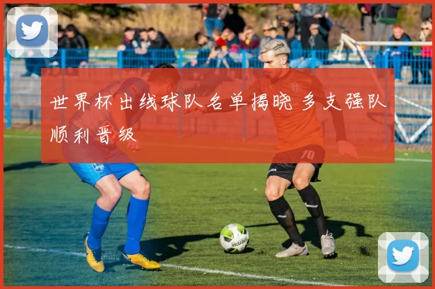 世界杯出线球队名单揭晓 多支强队顺利晋级