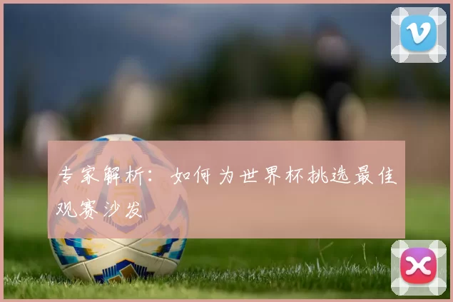 专家解析：如何为世界杯挑选最佳观赛沙发