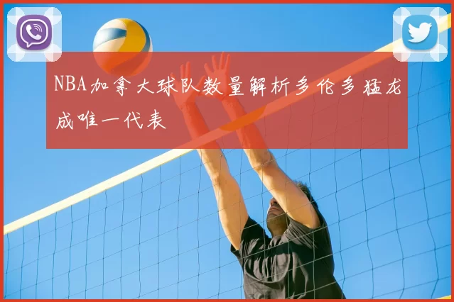NBA加拿大球队数量解析多伦多猛龙成唯一代表