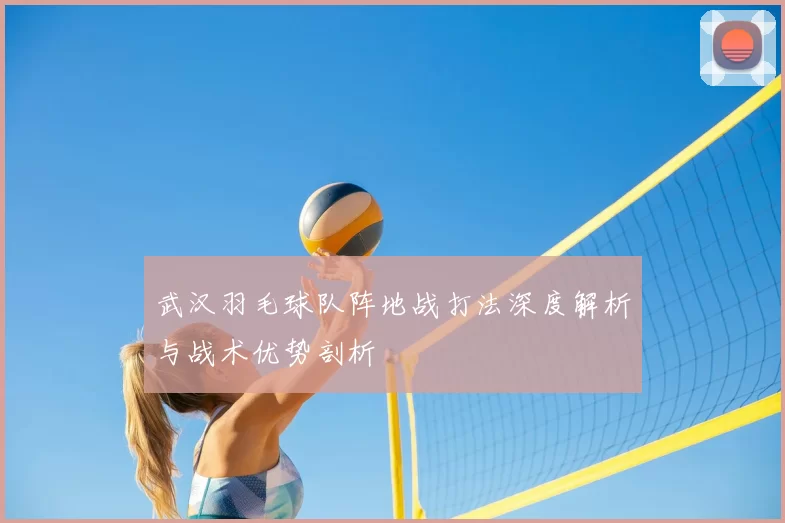 武汉羽毛球队阵地战打法深度解析与战术优势剖析