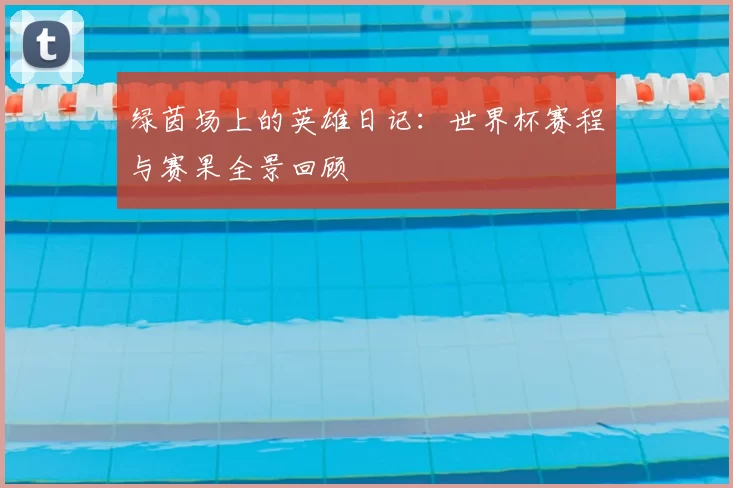绿茵场上的英雄日记：世界杯赛程与赛果全景回顾