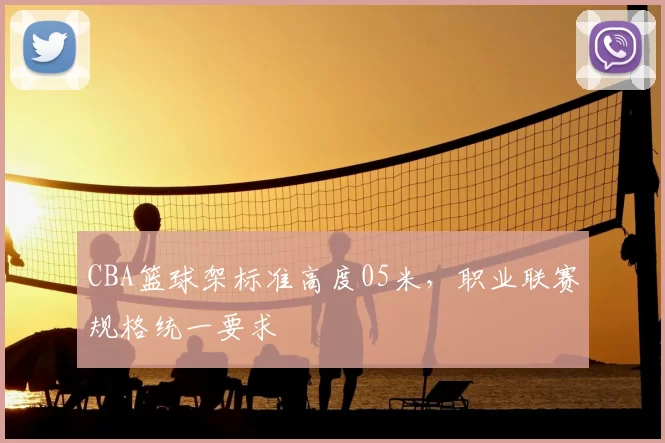 CBA篮球架标准高度05米，职业联赛规格统一要求
