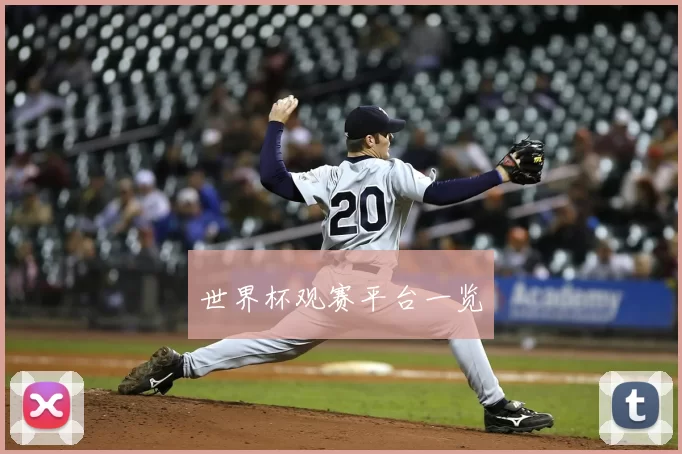 世界杯观赛平台一览