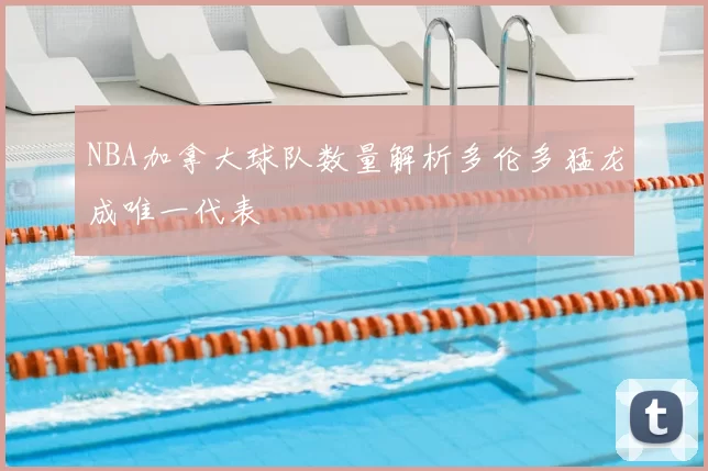 NBA加拿大球队数量解析多伦多猛龙成唯一代表