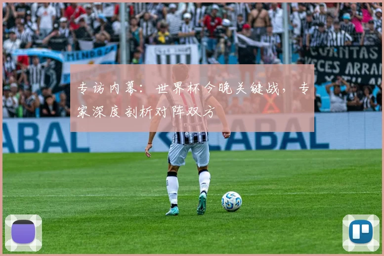 专访内幕：世界杯今晚关键战，专家深度剖析对阵双方