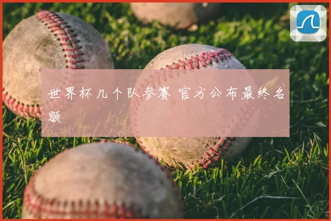 世界杯几个队参赛 官方公布最终名额