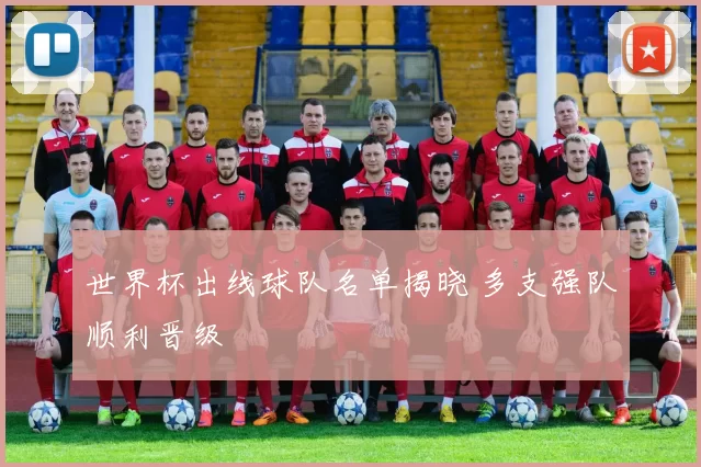 世界杯出线球队名单揭晓 多支强队顺利晋级