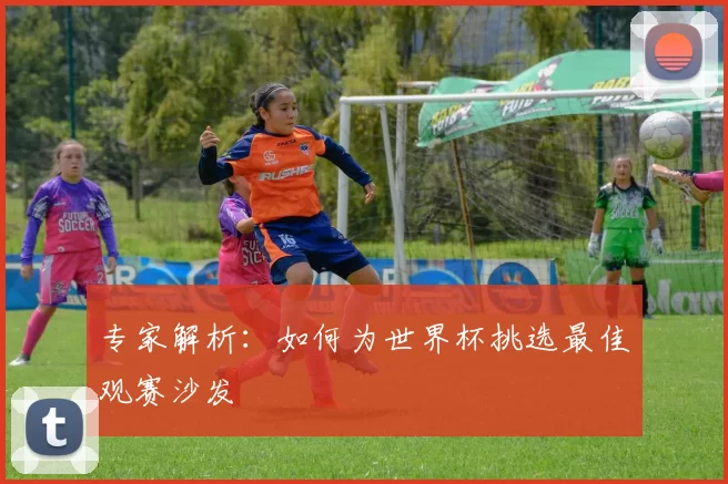 专家解析:如何为世界杯挑选最佳观赛沙发