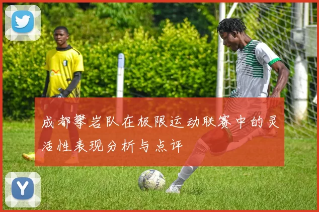 成都攀岩队在极限运动联赛中的灵活性表现分析与点评