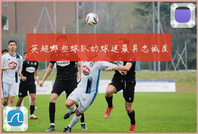 英超哪些球队的球迷最具忠诚度